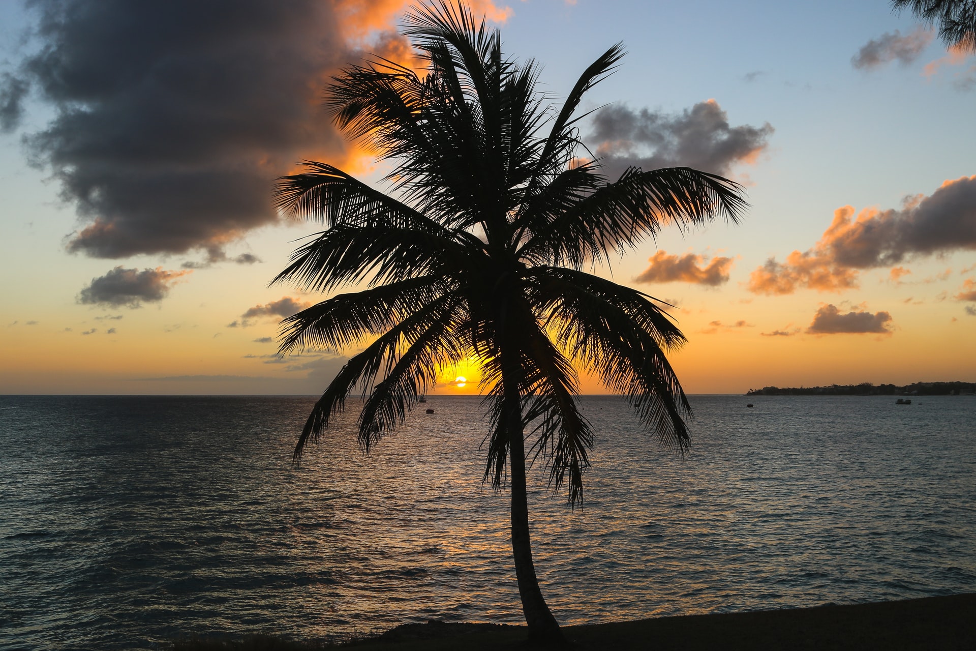 Barbados gives a special visa for remote workers in the island