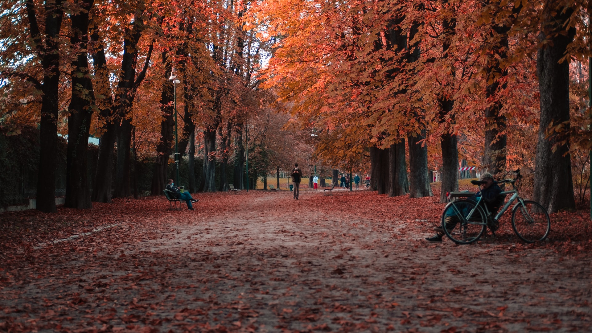 European residency by investment, enjoy the best autumn plans on the continent