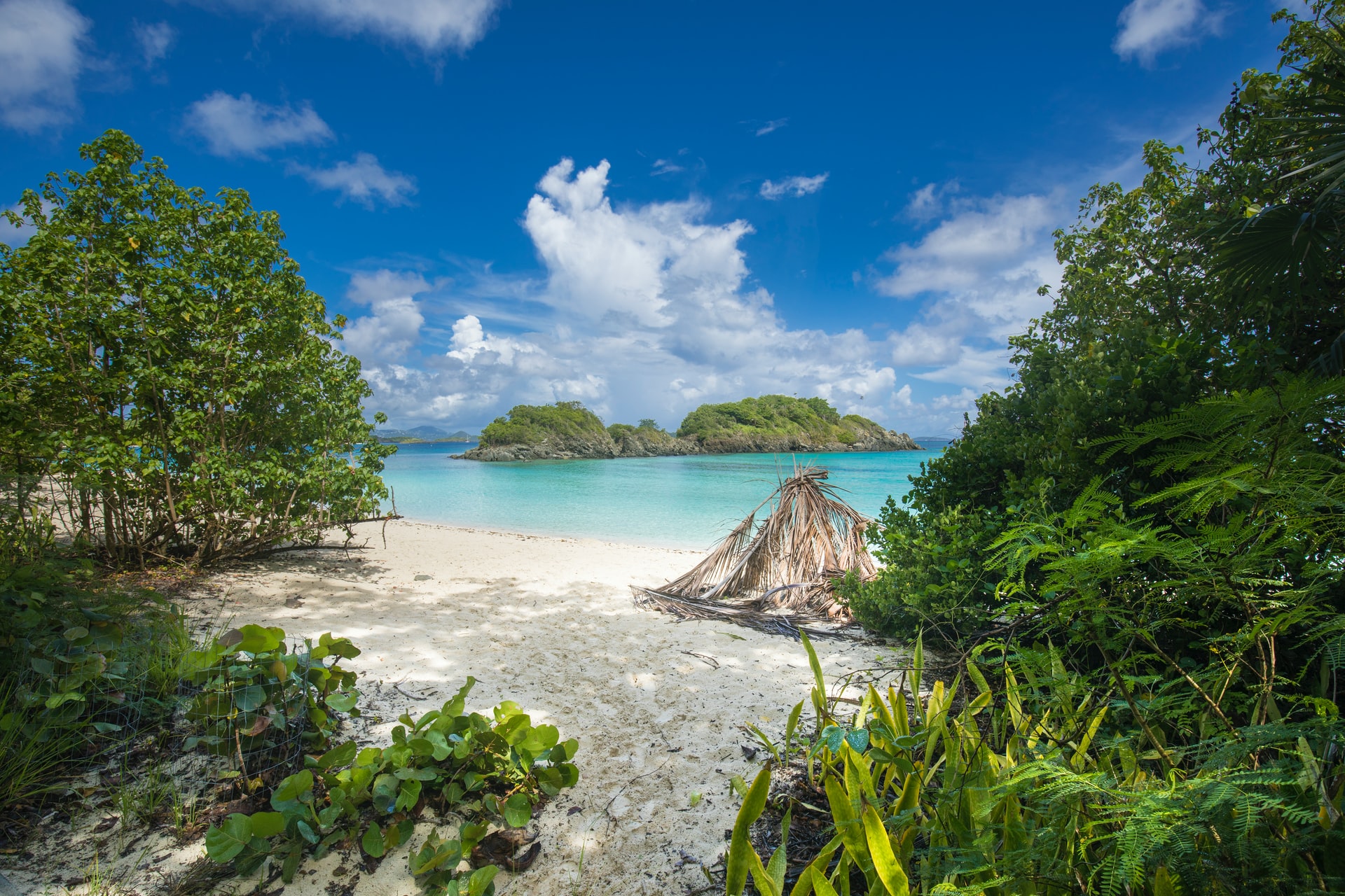 Comparing citizenship by investment in the Caribbean