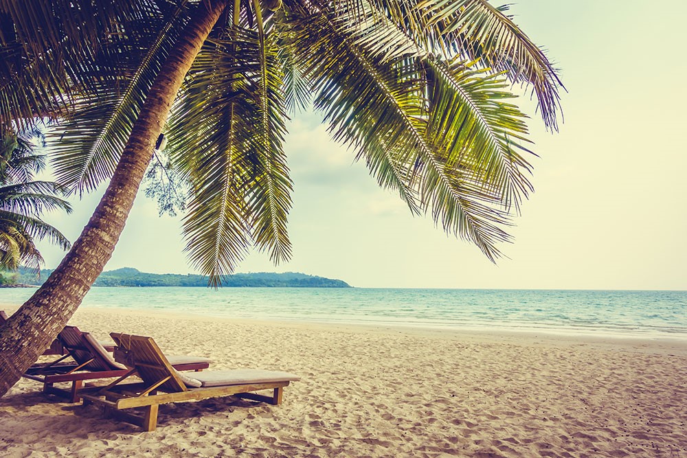 Saint Kitts and Nevis citizenship programme reduces until end 2020