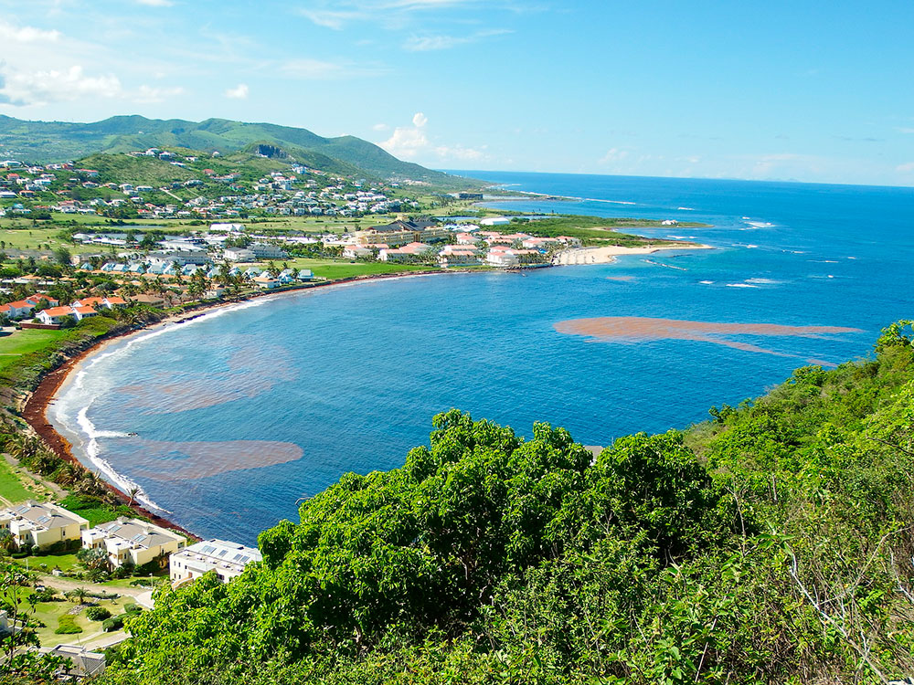 Time-limited reduction on the St Kitts and Nevis citizenship programme