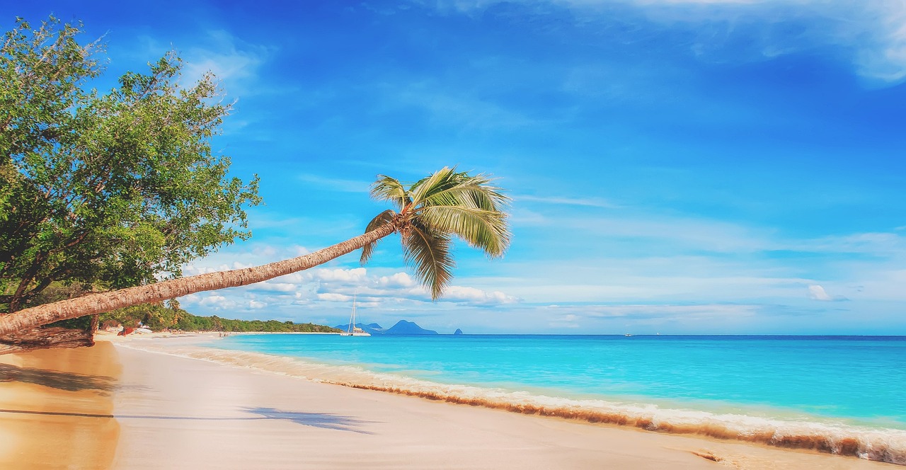 A transformation is coming for the St. Kitts and Nevis CIU