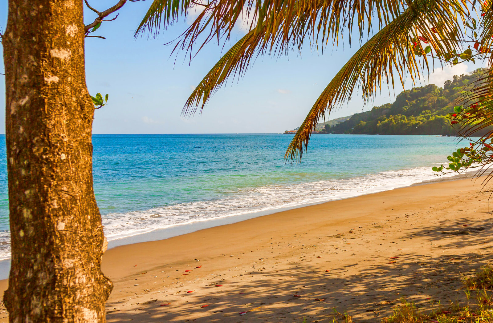 Investment Opportunities in Grenada: Complete Guide