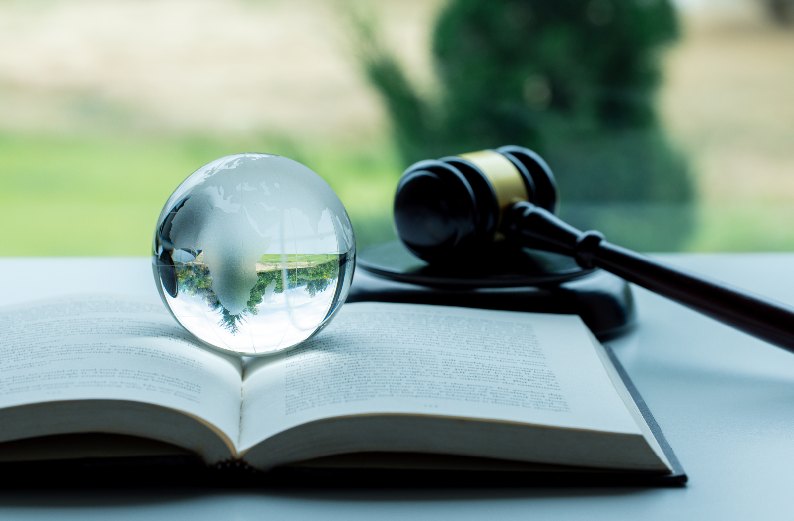 Corporate Investment Law: Complete Legal Guide | Orience